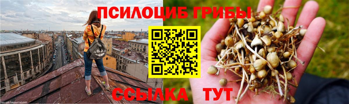 Галлюциногенные грибы мухоморы  Вход с VPN  Псилоцибиновые грибы Psilocybe  магазин    Сыктывкар 